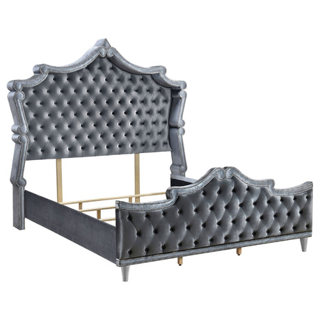 Antonella Upholstered Eastern King Panel Bed Grey | Coaster - 223581KE - Home Elegance USA - 1