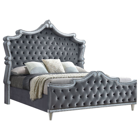 Antonella Upholstered Eastern King Panel Bed Grey | Coaster - 223581KE - Home Elegance USA - 3