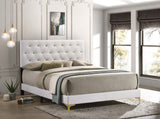 Queen Bed - Kendall Upholstered Queen Panel Bed White