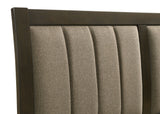 Wilkes 51-inch Upholstered Queen Bed Dark Cocoa -  Coaster Furniture
