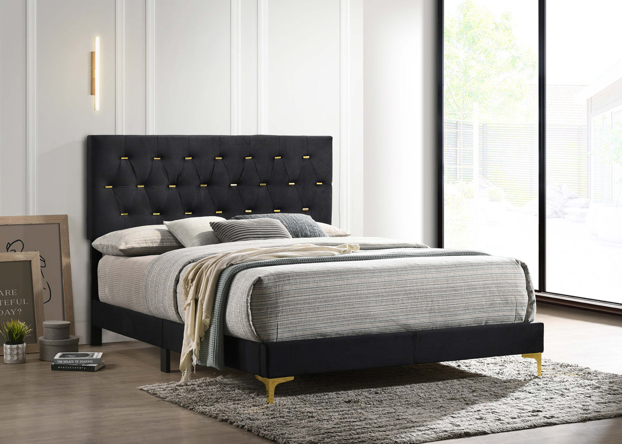 Eastern King Bed - Kendall Upholstered Eastern King Panel Bed Black