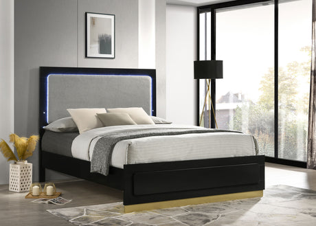 E King Bed  - Caraway Wood Eastern King LED Panel Bed Black