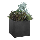 Greystone Indoor-Outdoor Succulent - Green by Uttermost - View 4
