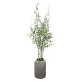 Aldis Potted River Birch - Gray / Green by Uttermost - View 3