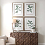 Fiddle Head Leaf Botanical Prints (Set of 4) - Green / White by Uttermost - View 2