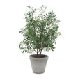 Marisol Potted Olive Plant - Gray / Green by Uttermost - View 1