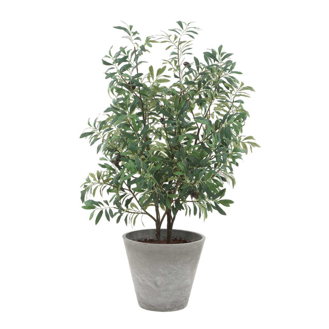 Marisol Potted Olive Plant - Gray / Green by Uttermost - View 1