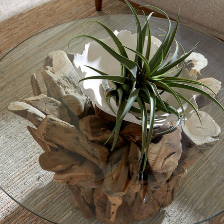 Driftwood Glass Top Cocktail Table | Uttermost