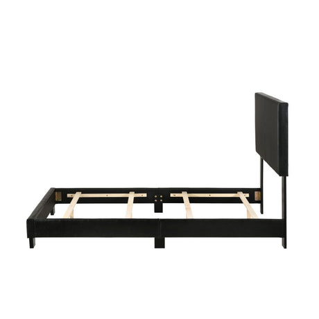 Acme - Lien Twin Bed 25736T Black Synthetic Leather