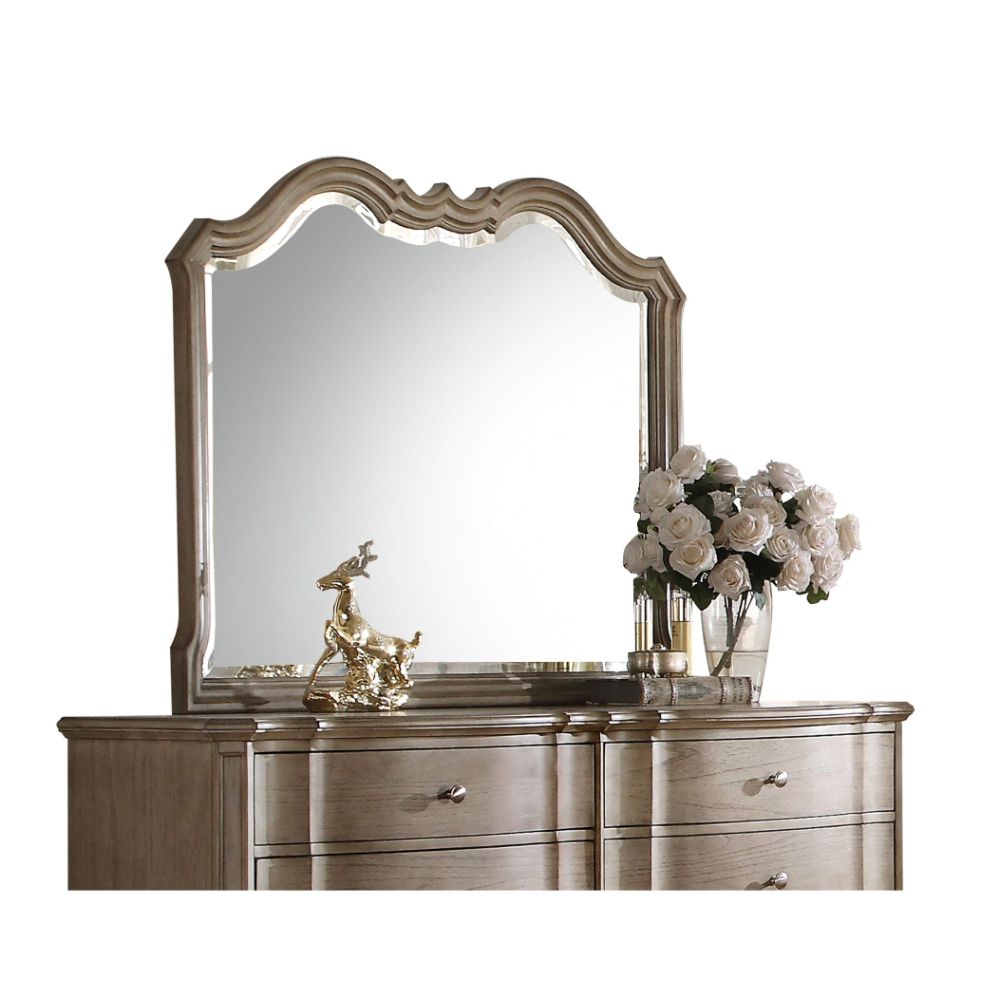 Acme - Chelmsford Mirror 26054 Antique Taupe Finish