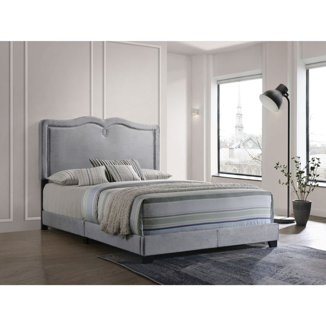 Acme - Reuben Queen Bed 26420Q Gray Velvet