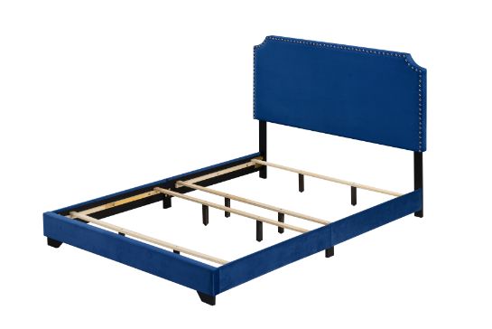 Acme - Haemon Queen Bed 26760Q Blue Velvet