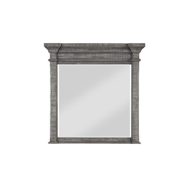 Acme - Artesia Mirror 27104 Salvaged Natural Finish