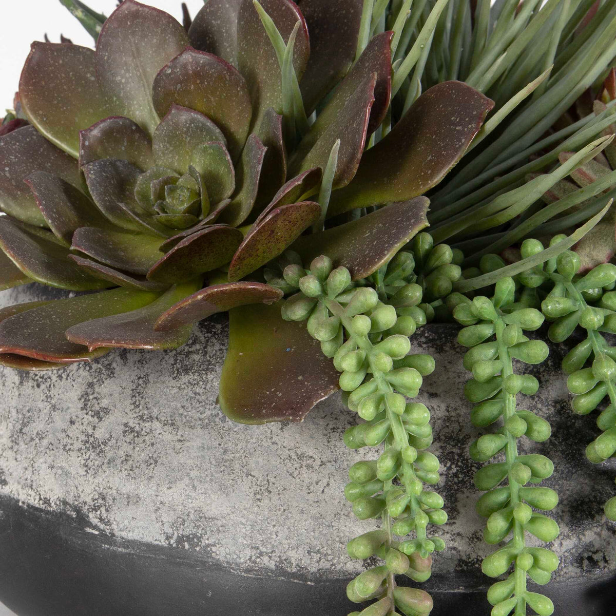 Yuma Succulent Centerpiece - Gray by Uttermost - View 5