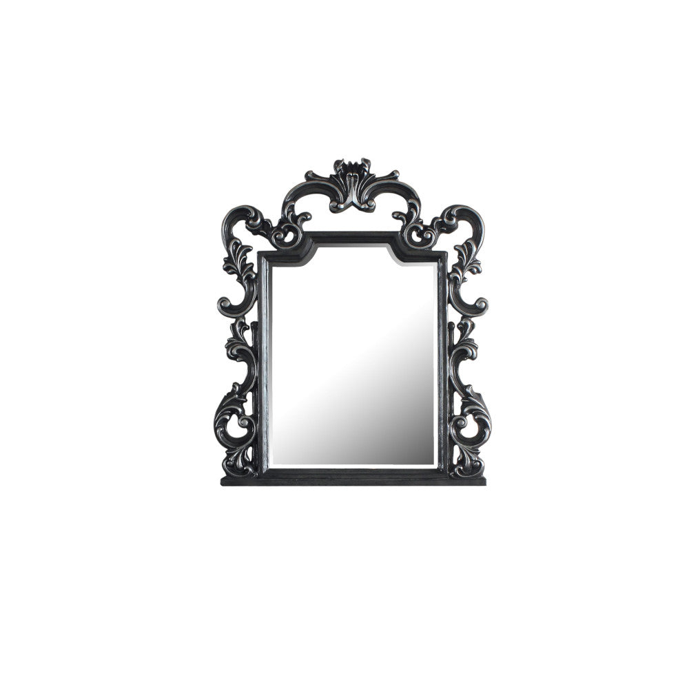 Acme - House Delphine Mirror 28834 Charcoal Finish