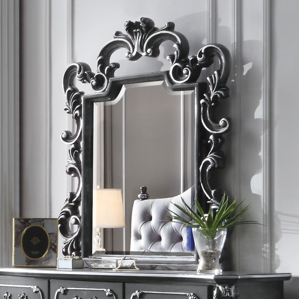 Acme - House Delphine Mirror 28834 Charcoal Finish