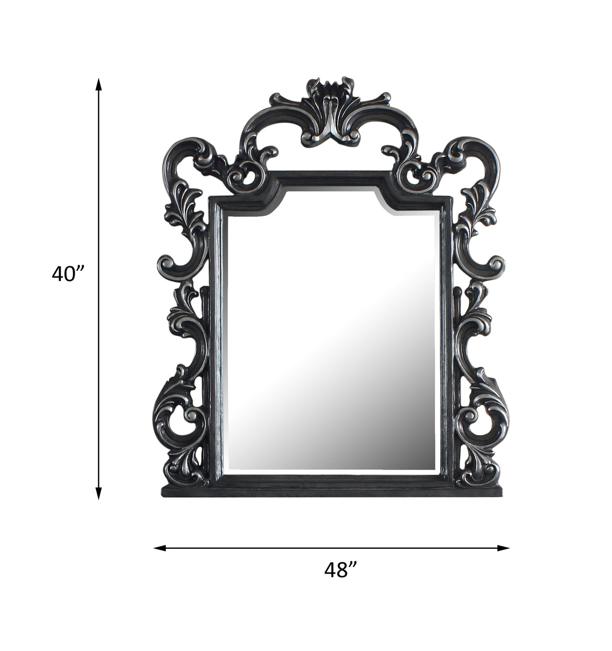 Acme - House Delphine Mirror 28834 Charcoal Finish