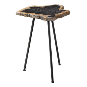 Mircea Petrified Wood Accent Table Black & Light Brown - Black / Light Brown by Uttermost - View 1