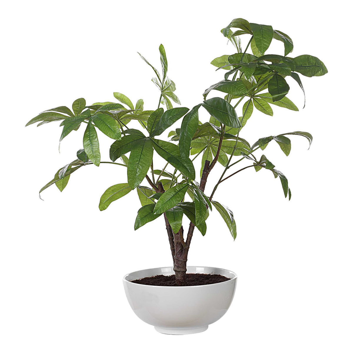 Pachira Money Money Tree - White by Uttermost - View 4