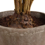 Zamia Palm Accent In Planter - Green by Uttermost - View 5