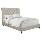 Devon Upholstered Full Panel Bed Beige | Coaster | Home Elegance USA