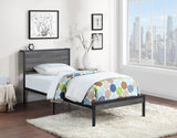 Twin Bed - Ricky Metal Twin Panel Bed Grey