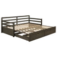 Twin Xl Daybed W/ Extension Trundle - Sorrento 2-drawer Twin XL Daybed with Extension Trundle Grey