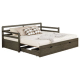 Twin Xl Daybed W/ Extension Trundle - Sorrento 2-drawer Twin XL Daybed with Extension Trundle Grey