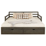 Twin Xl Daybed W/ Extension Trundle - Sorrento 2-drawer Twin XL Daybed with Extension Trundle Grey