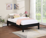 Twin  Bed - Hounslow Platform Twin Bed Black