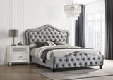 Bella Upholstered Eastern King Panel Bed Grey | Coaster | Home Elegance USA