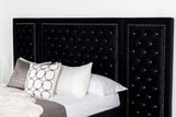 Eastern King Bed W/ Wing Panel - Hailey Upholstered Eastern King Wall Panel Bed Black