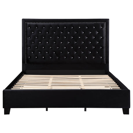 Queen Bed - Hailey Upholstered Queen Panel Bed Black