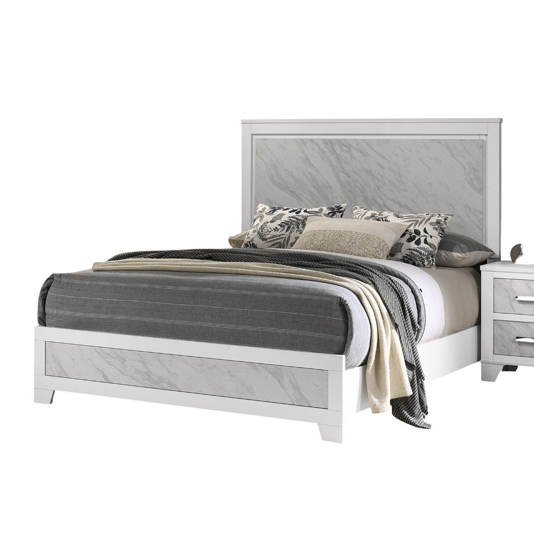 24603703