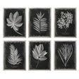 Foliage Framed Prints (Set of 6) - Black / Silver by Uttermost - View 1