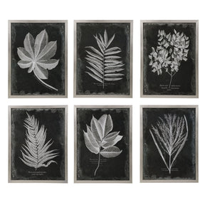 Foliage Framed Prints (Set of 6) - Black / Silver by Uttermost - View 1