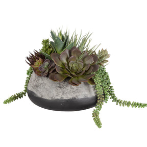 Yuma Succulent Centerpiece - Gray by Uttermost - View 1