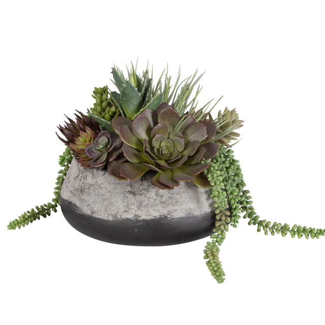 Yuma Succulent Centerpiece - Gray by Uttermost - View 1