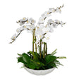 Flourish Orchid Centerpiece - White by Uttermost - View 1