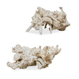 Elemental Root Outdoor Sculptures (Set of 2) - White by Uttermost - View 1
