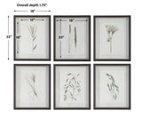 Forest Finds Finds Framed Prints (Set of 6) - White / Green by Uttermost - View 9