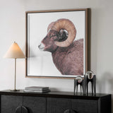 Big Horn Sheep Framed Print Black / Brown / White - Dark Brown / White by Uttermost - View 3