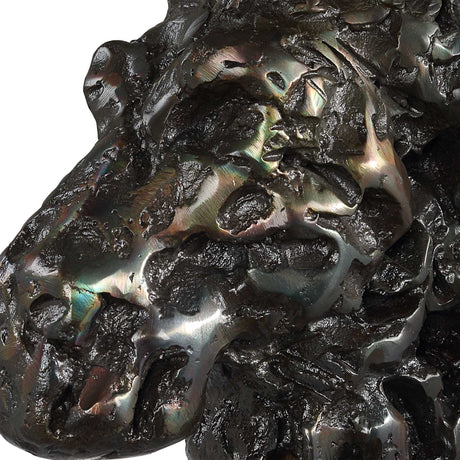 Moose Bust Bronze Sculpture by Uttermost - View 7