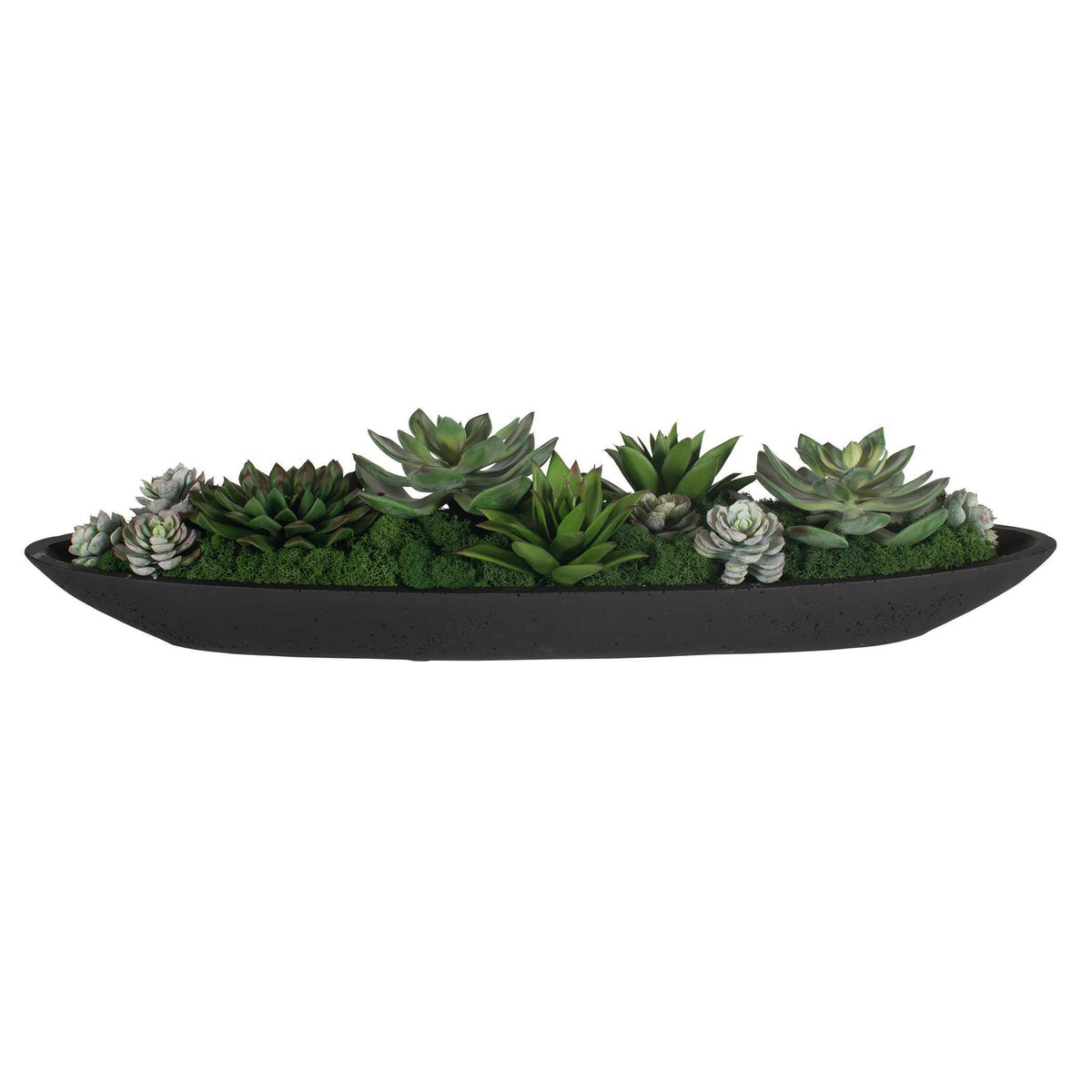 Verde Succulent Centerpiece In Bowl - Black / Green by Uttermost - View 6