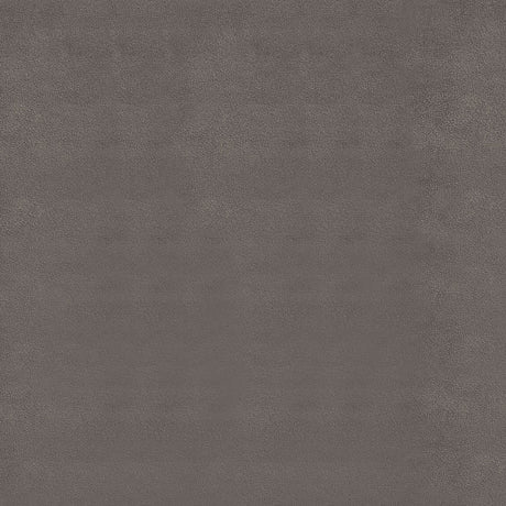 23566421