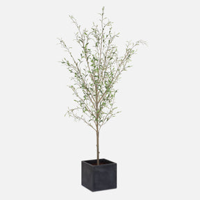 Abundance Potted Olive Tree - Black / Green by Uttermost - View 1