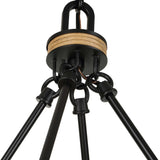 Palm Royal 8 Light Indoor-Outdoor Chandelier Black / Light Brown - Light Brown / Black by Uttermost - View 7
