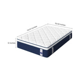 24600814