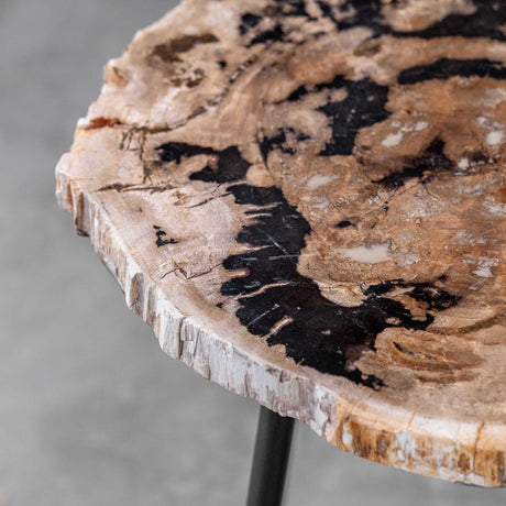 Mircea Petrified Wood Accent Table Black & Light Brown - Black / Light Brown by Uttermost - View 3