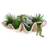 Seaside Breeze Succulents - Light Brown by Uttermost - View 1